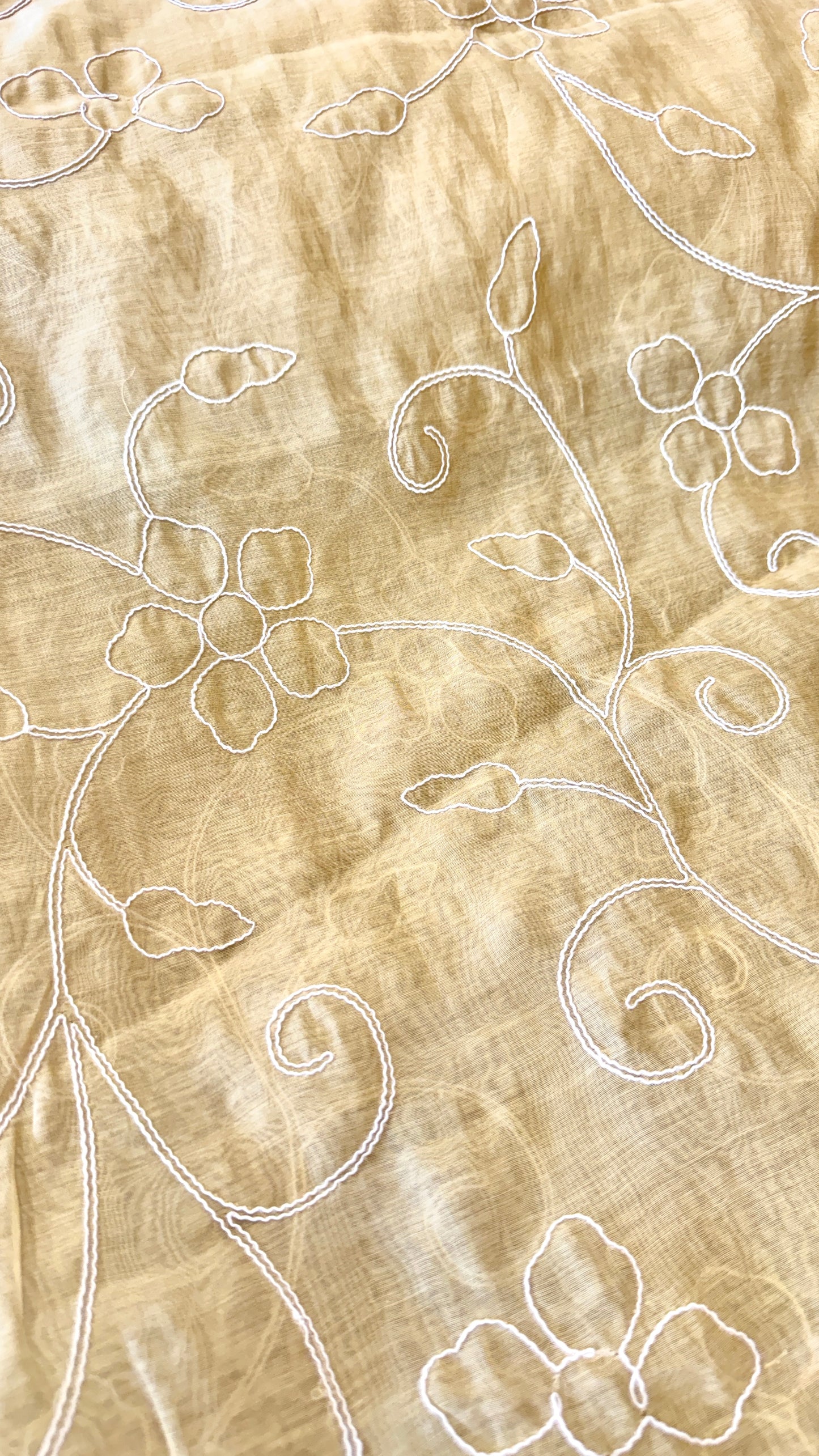 Embroidered Banarasi Mulchanderi