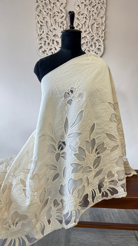 Kora Cotton with Applique work at Daman