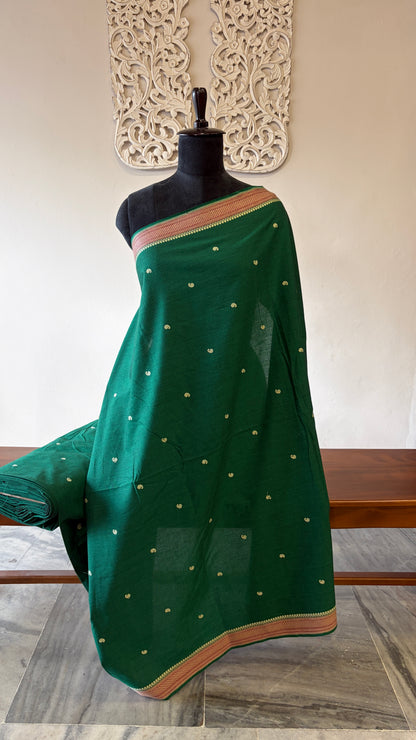 South Cotton with Mansavi border Green