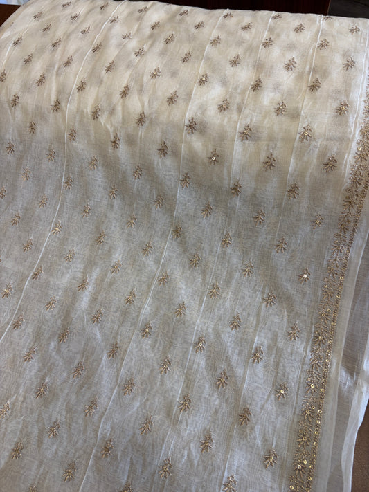 Dyeable Banarasi mulchanderi with border