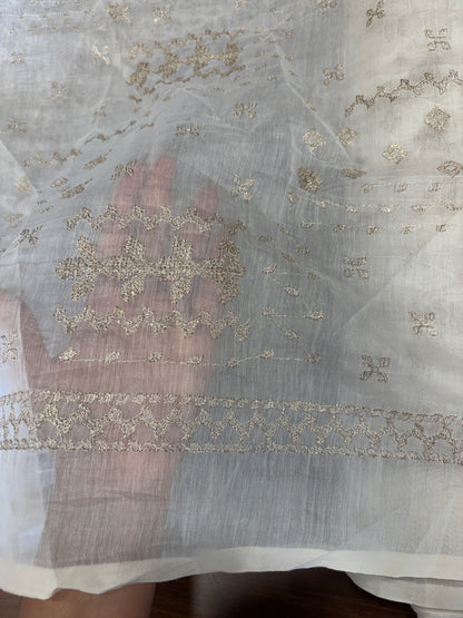 Dyeable Banarasi mulchanderi with border