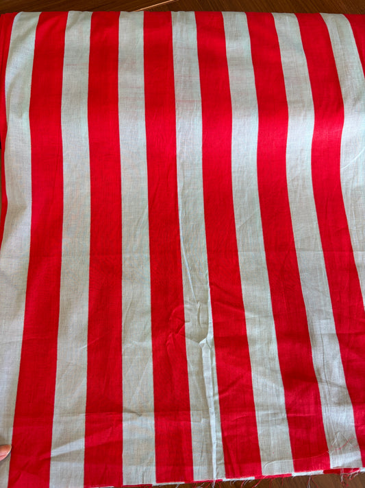Screen printed Jaipur cotton